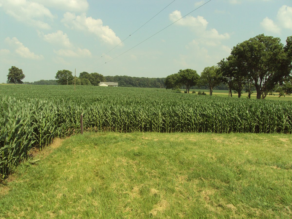 Property photo 32 - 160 Acres Offered in 6 Tracts